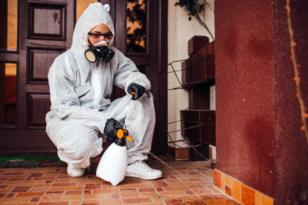 Reliable Cockroach Control contractor in Wood Village, OR by Nex Pest Control