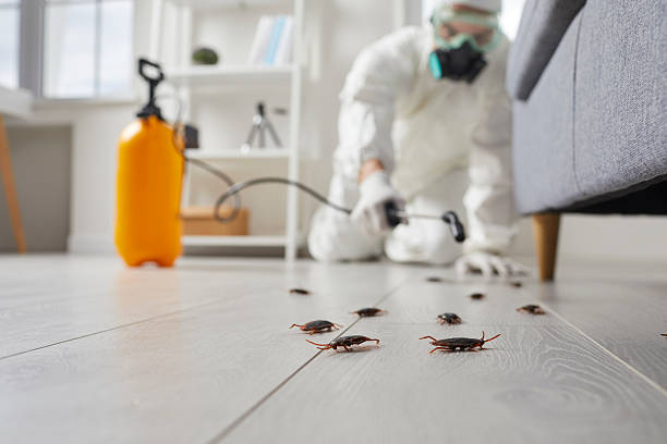 Trusted Emergency Pest Control service in Wood Village, OR - Nex Pest Control