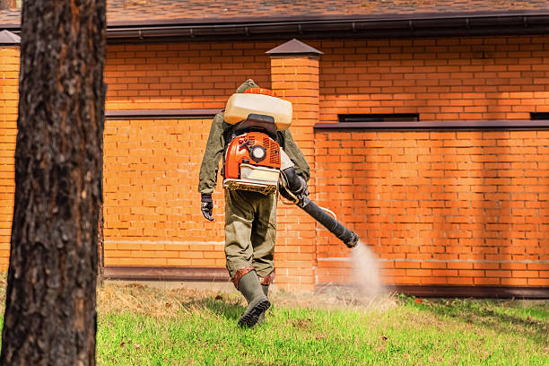 Trusted Mosquito Control service in Wood Village, OR - Nex Pest Control